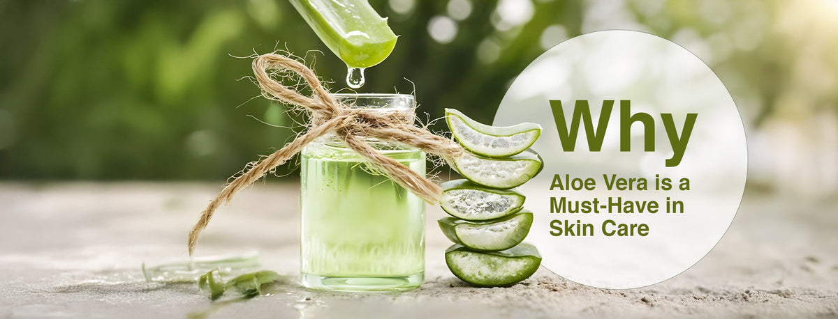 The Power of Aloe Vera: Nature's Healing for Skin