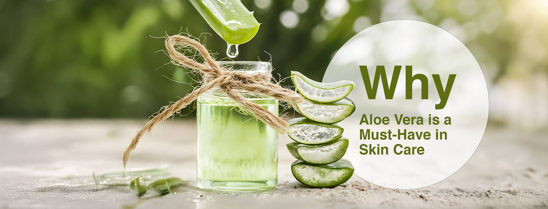 The Power of Aloe Vera: Nature's Healing for Skin