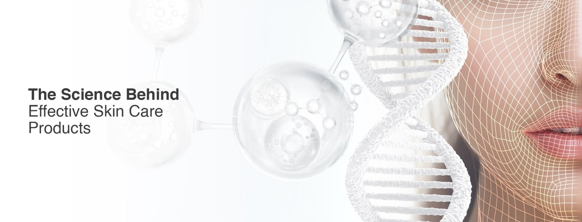 The Science Behind Effective Skin Care Products: Unlock The Secret Of Your Skin