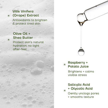 Face Wash and Serum Combo - Ramaeri