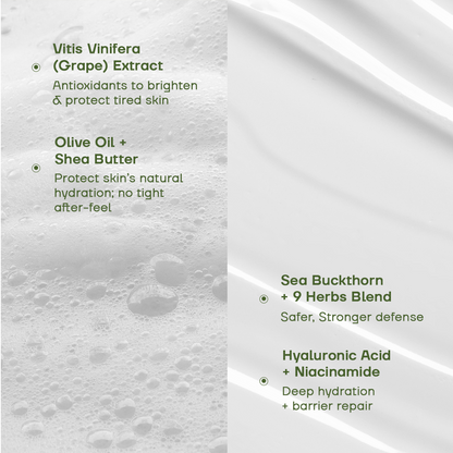 Face Wash and Moisturiser Combo - Ramaeri